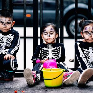 Bilder Dieses schöne Scheißleben