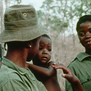 Bilder Concerning Violence