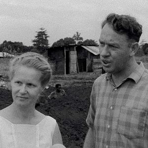 Bilder Concerning Violence