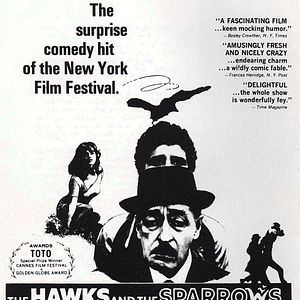 Bilder Große Vögel, kleine Vögel