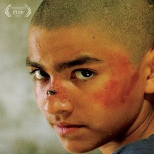 Bilder Greencard Warriors