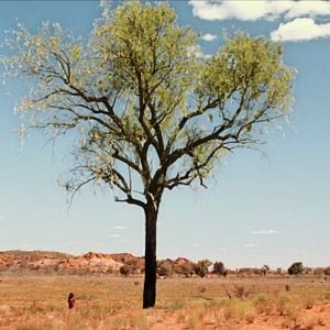 Bilder Words with Gods