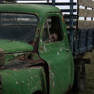 Bilder Dromedário no Asfalto