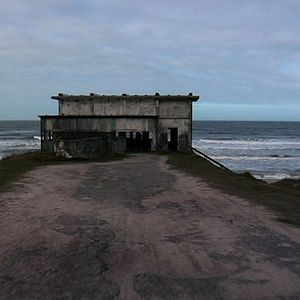 Bilder Dromedário no Asfalto