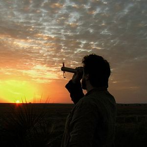 Bilder Dromedário no Asfalto