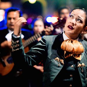 Bilder Dieses schöne Scheißleben