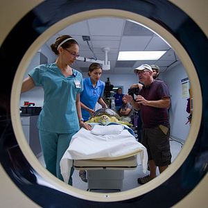 Bilder Mein Freund, der Delfin 2