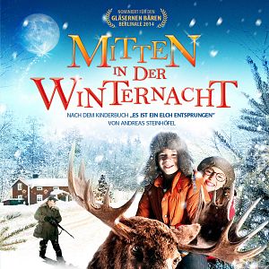 Bilder Mitten in der Winternacht