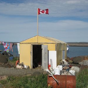 Bilder The Wings of Johnny May