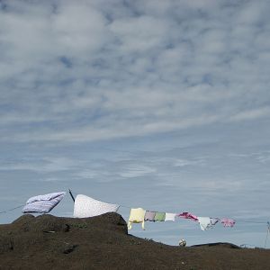 Bilder The Wings of Johnny May