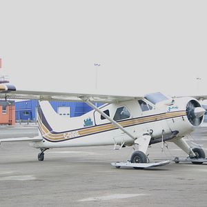 Bilder The Wings of Johnny May