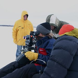 Bilder The Wings of Johnny May