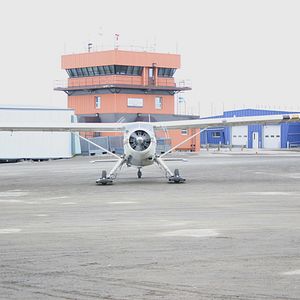 Bilder The Wings of Johnny May