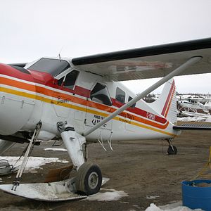 Bilder The Wings of Johnny May