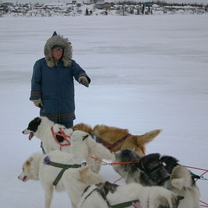 Bilder The Wings of Johnny May