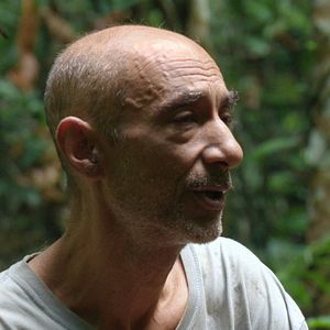 Bilder Song from the Forest