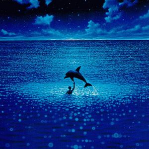 Bilder Im Rausch der Tiefe