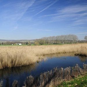 Bilder Deutschlands wilde Vögel - Teil 2 - Die Reise geht weiter