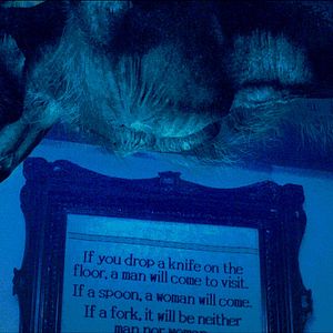 Bilder The Last Will and Testament of Rosalind Leigh