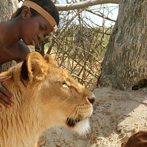 Bilder Sirga - Die Löwin