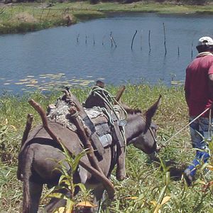 Bilder Hautes-Terres