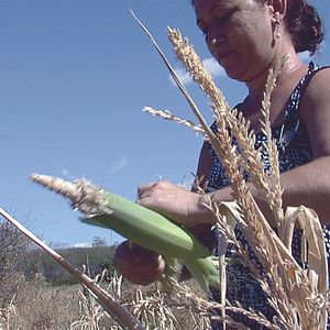 Bilder Hautes-Terres