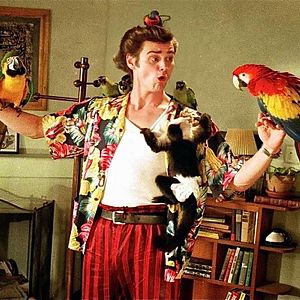 Bilder Ace Ventura - Ein tierischer Detektiv