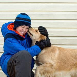 Bilder Ein Hund im Winter
