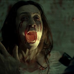 Bilder Nil Günal Çakıroğlu