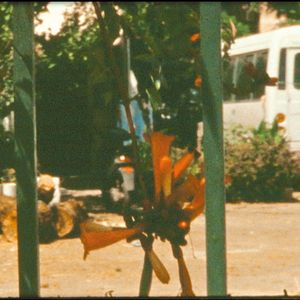 Bilder Zurück nach Beirut