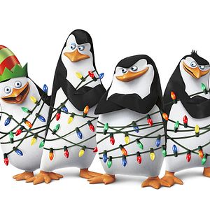 Bilder Die Pinguine aus Madagascar