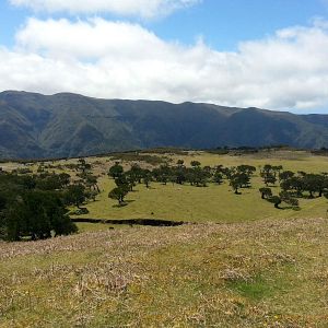 Bilder Emptying the Skies
