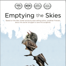 Bilder Emptying the Skies