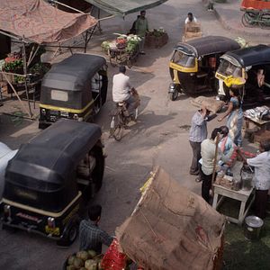Bilder Traces of Sandalwood