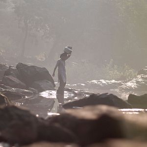 Bilder Traces of Sandalwood