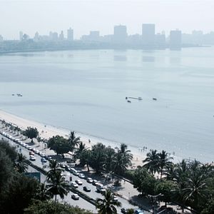 Bilder Traces of Sandalwood