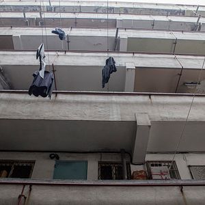 Bilder Hide and Seek - Kein Entkommen