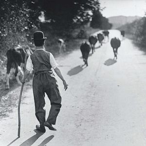 Bilder Charlot s’offre une nouvelle jeunesse !