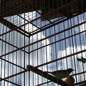 Bilder Porque Temos Esperança