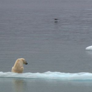Bilder Macht Energie