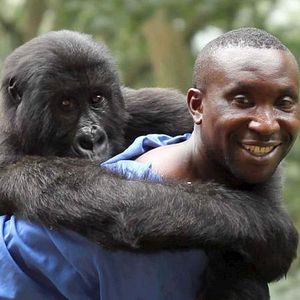 Bilder Virunga