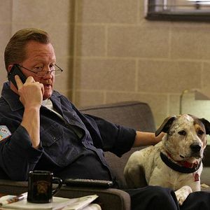 Bilder Christian Stolte