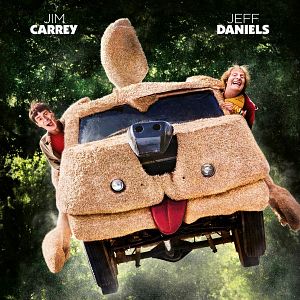 Bilder Dumm und Dümmehr