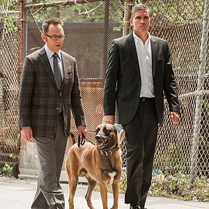 Bilder Michael Emerson