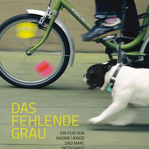 Bilder Das fehlende Grau