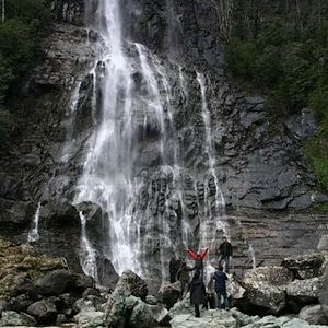 Bilder Yağmur: Kıyamet Çiçeği
