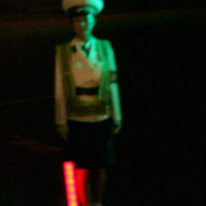 Bilder Songs from the North