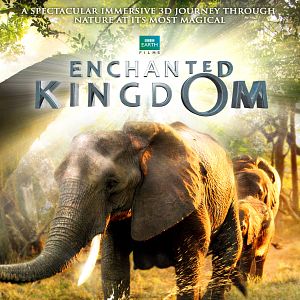 Bilder Afrika - Das magische Königreich