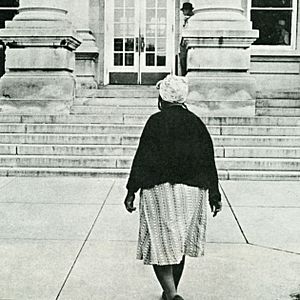 Bilder Freedom Summer