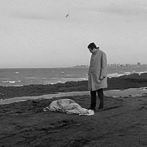 Bilder Wer spricht von Schuld